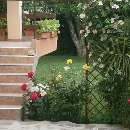 Hristovi Guest house